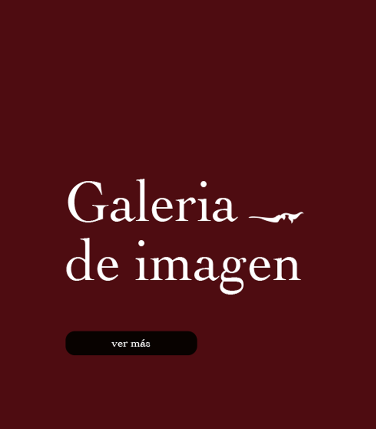 galeriadeimagen