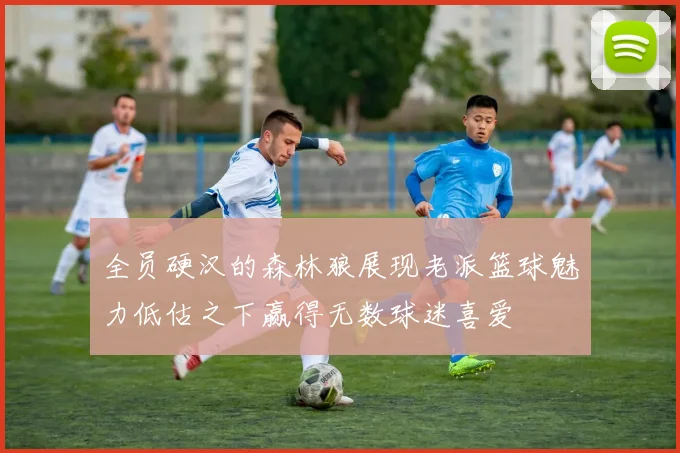 全员硬汉的森林狼展现老派篮球魅力低估之下赢得无数球迷喜爱